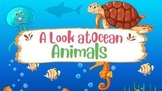 Ocean Animal Trivia and Review
