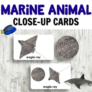 Preview of Ocean Theme Animal Up Close Cards