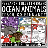 Sea Ocean Animals Research Activities Project Templates Sc