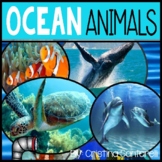 Ocean Animals