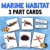 Ocean Animals 3 Part Cards