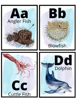 Preview of Ocean Animals ABC Alphabet Flashcards