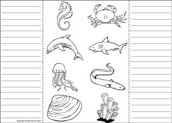 Download Ocean Animals Activity: Interactive Notebook Foldable ...