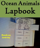 Ocean Animals Activity: Interactive Notebook Foldable/ Col