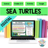 Ocean Animals: All About Sea Turtles Digital Resources Uni