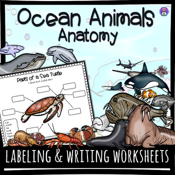 Preview of Ocean Animals Anatomy | Informative Writing and Labeling | All-Year Bundle