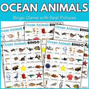 Ocean Animals Bingo Game and Vocabulary Cards with Real Pictures