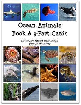 Preview of Ocean Animals Book