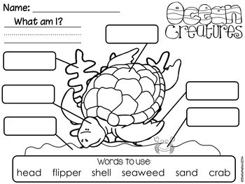 Ocean Animals Bundle! (Label the Picture, Build the Sentence) by Sheila ...