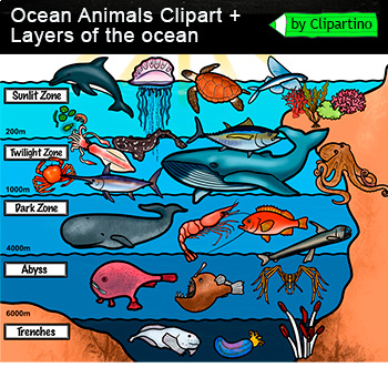 Preview of Ocean Animals Clip Art /Layers of the ocean /Sea Creature Animal/ Biomes