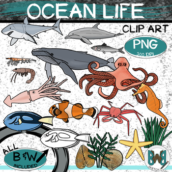 Ocean Animals Clip Art Sea Creatures Clipart by Backwoods Barn Sketch
