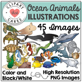 Ocean Animals Clipart by Clipart That Cares