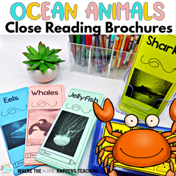 Preview of Ocean Animals Close Reading Passages - Reading Comprehension
