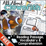 Ocean Animals Reading Freebie: Clownfish Nonfiction Readin