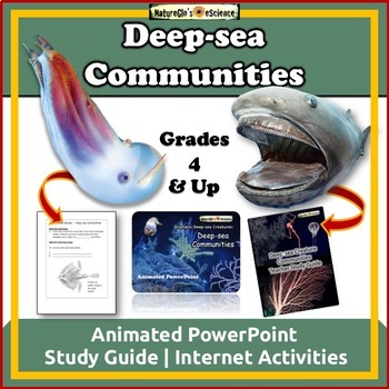 Preview of Ocean Animals Deep-sea Community Marine Biology PowerPoint and Study Guide