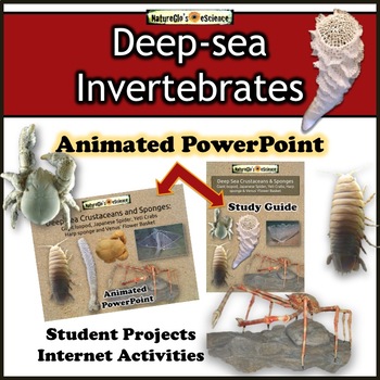 Preview of Ocean Animals Deep-sea Invertebrates Biology Zoology PPTX | Distance Learning