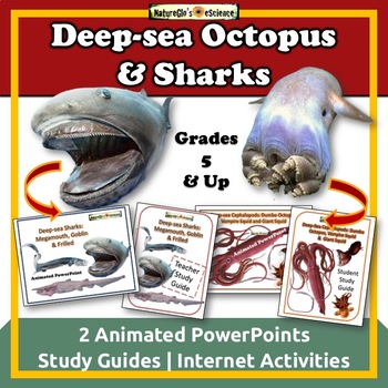 Preview of Ocean Animals Deep-sea Octopus Sharks Biology Zoology PPTX | Distance Learning