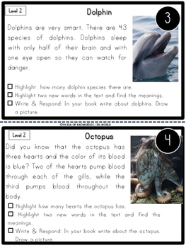 ocean animals nonfiction reading comprehension passages by sea of knowledge