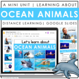 Ocean Animals | Digital Activities
