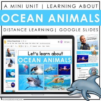 Preview of Ocean Animals | Digital Resources