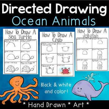 Ocean Animals Directed Drawings by Spedtopia | TPT