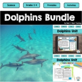 Dolphin Life Cycle Comprehension Passages & Activities Pri