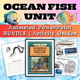 Ocean Animals - Fish Marine Biology PowerPoint and Activit
