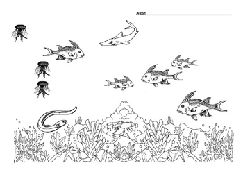 Preview of Ocean Animals Following Directions Basic Concept Worksheet