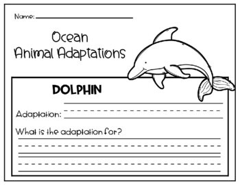 Ocean Animals Habitat: Animal Adaptations Science Research Writing Activity