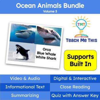 Ocean Animals Informational Text Reading Passage and Activities Bundle  Volume 3