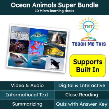 Preview of Ocean Animals Informational Text Reading Passage and Activities Super Bundle