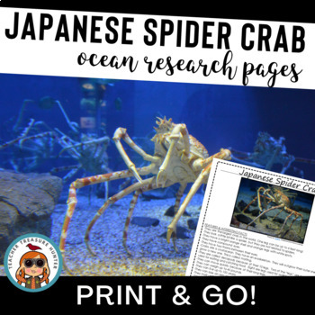 Ocean Animals Japanese Spider Crab Nonfiction Writing Animal Reports