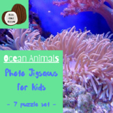 Ocean Animals | Jigsaw Puzzles | Baby and Toddler Activities