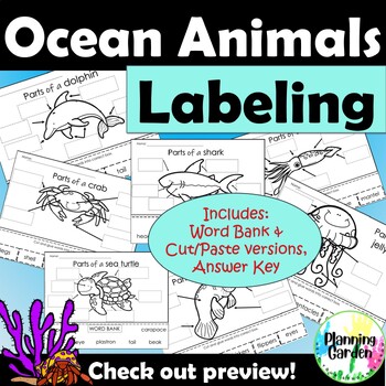 Preview of Ocean Animals Labeling | Parts of Ocean Animals {squid, shark, crab, jellyfish}
