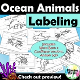 Ocean Animals Labeling | Parts of Ocean Animals {squid, sh