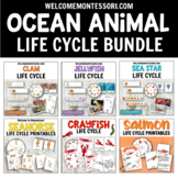 Ocean Animals Life Cycles: Montessori Ocean Theme Activiti