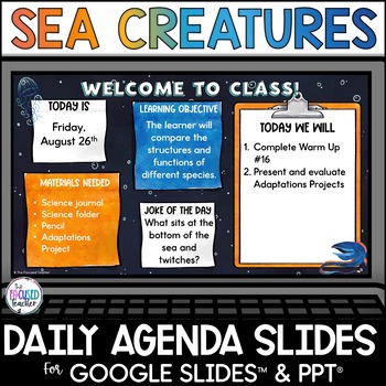 Preview of Ocean Animals Life Science Daily Agenda Slides Template | Google & PowerPoint