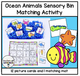 Ocean Animals Matching Vocabulary Activity for Sensory Bin