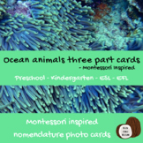 Ocean Animals | Montessori | 3 Part Cards