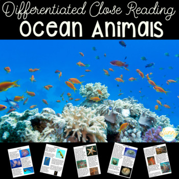 Preview of Ocean Animals | Differentiated Texts | Nonfiction Close Reading