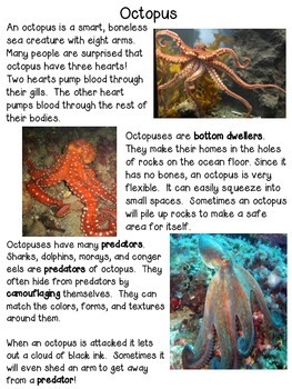 Ocean Animals | Differentiated Texts | Nonfiction Close Reading | TpT