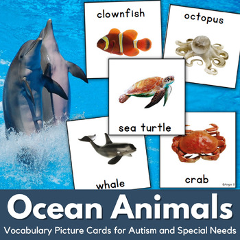 Preview of Ocean Animals Vocabulary Picture Cards Autism Visuals Communication Flashcards
