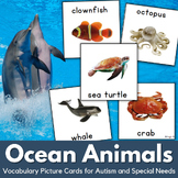 Ocean Animals Vocabulary Picture Cards Autism Visuals Comm