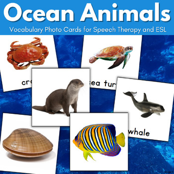 Preview of Ocean Animals Vocabulary Picture Cards Speech Therapy ESL Flashcards Autism