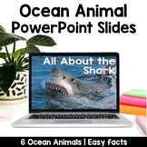 Ocean Animals PowerPoints | Facts | Slides