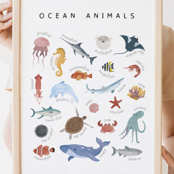Preview of Ocean Animals Preschool & Kindergarten.