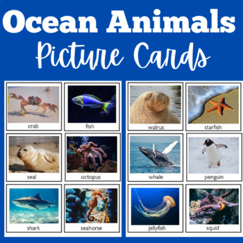 Ocean Animals | Preschool Kindergarten 1st 2nd Grade | Science Center