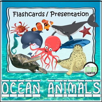 Preview of Ocean Animals Flashcards/Presentation