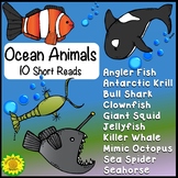 Ocean Animals Reading Comprehension