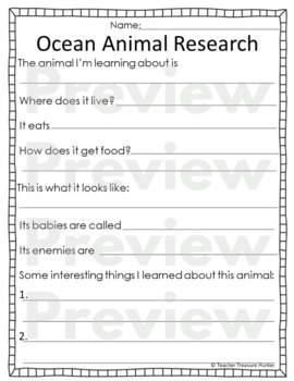 essay about sea creatures